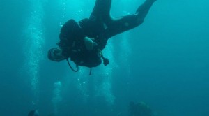 Divers (4)    